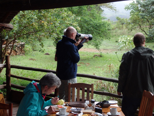 The morning view of the Bird Wildlife.